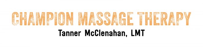 Champion Massage Logo 2 700x169